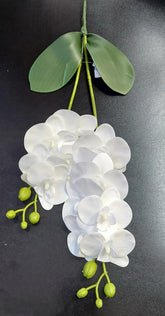 Fir Orhidee Artificială Real Touch Alb Mat